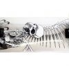 Skateboard Skull V281 srebrni-0